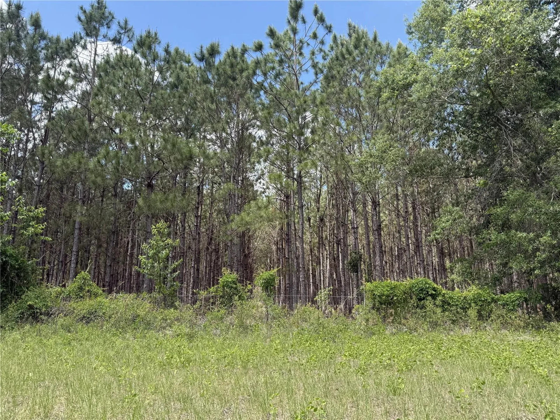 0 NW 140th Street Chiefland FL 32626