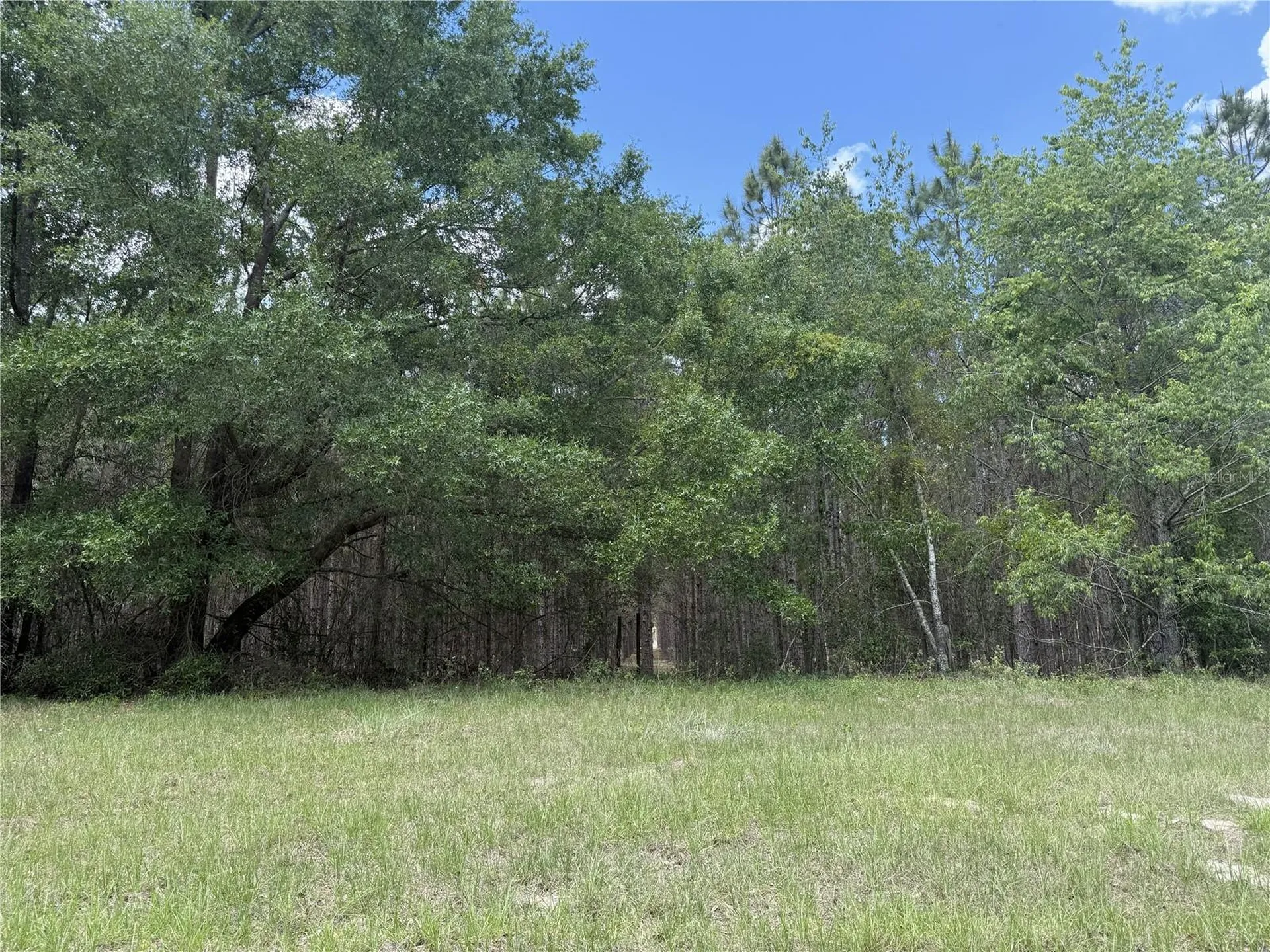 0 NW 140th Street Chiefland FL 32626