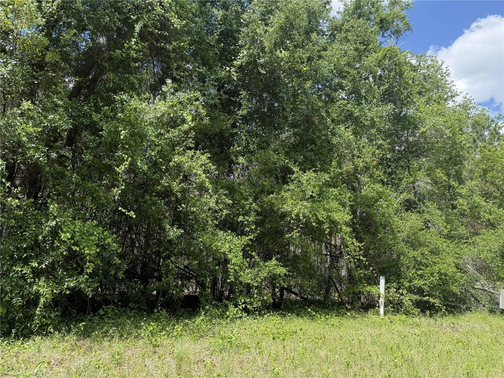 0 NW 140th Street Chiefland FL 32626