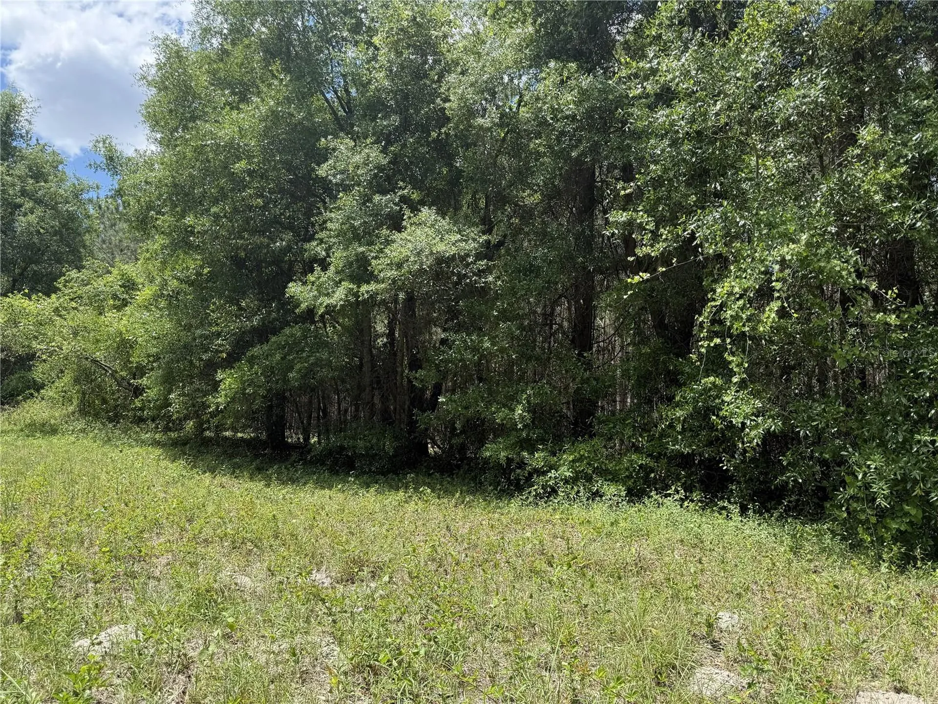 0 NW 140th Street Chiefland FL 32626