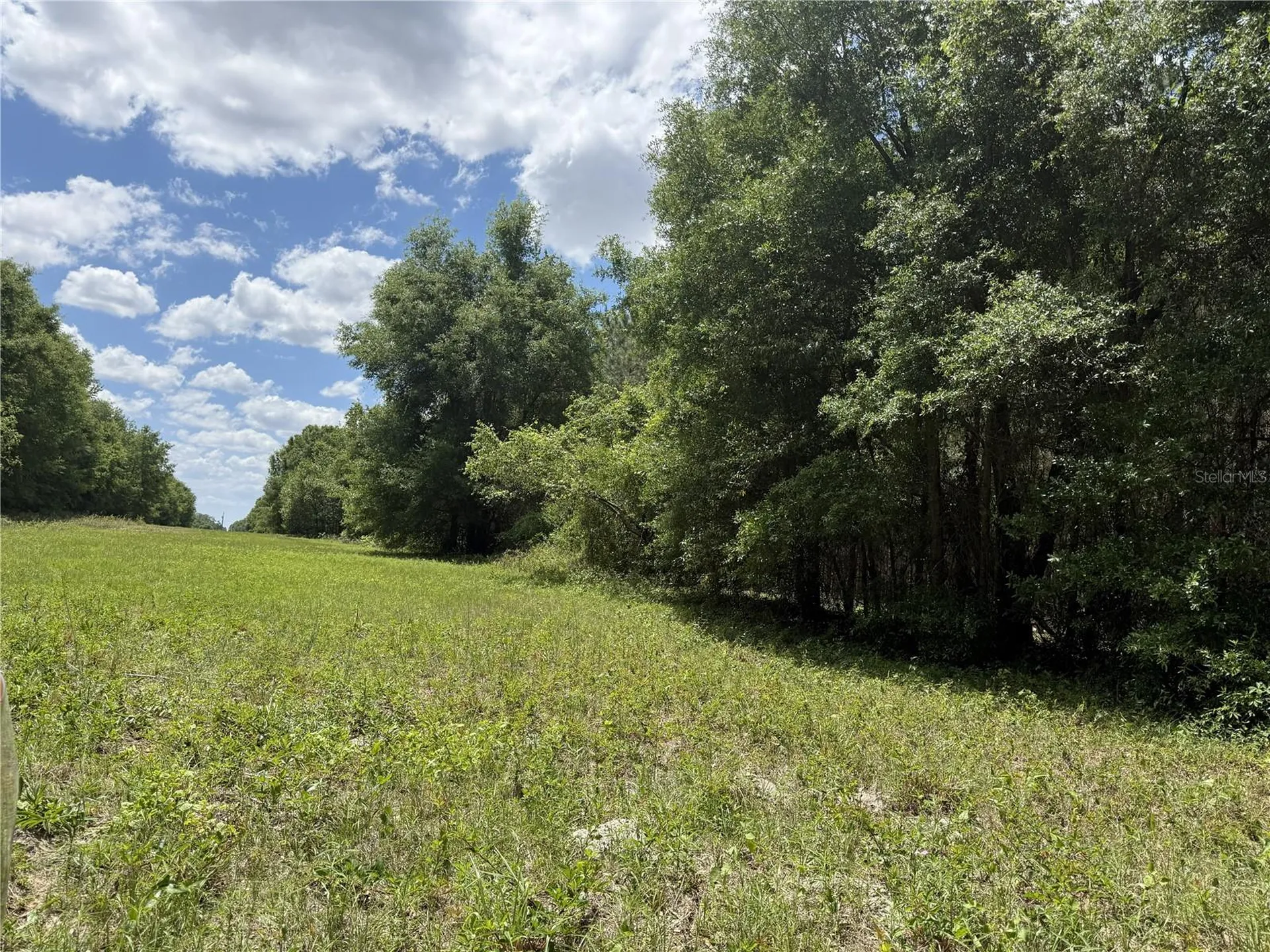 0 NW 140th Street Chiefland FL 32626