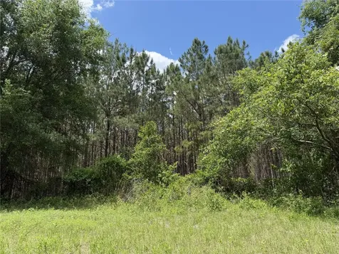 0 NW 140th Street Chiefland FL 32626