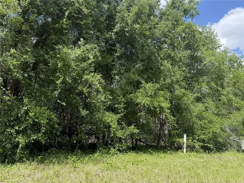 0 NW 140th Street Chiefland FL 32626