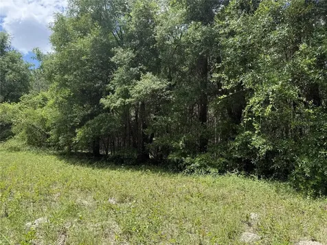 0 NW 140th Street Chiefland FL 32626