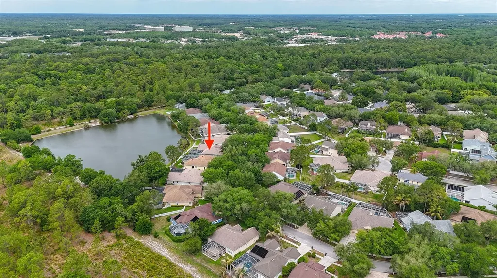 8739 Ashworth Drive Tampa FL 33647