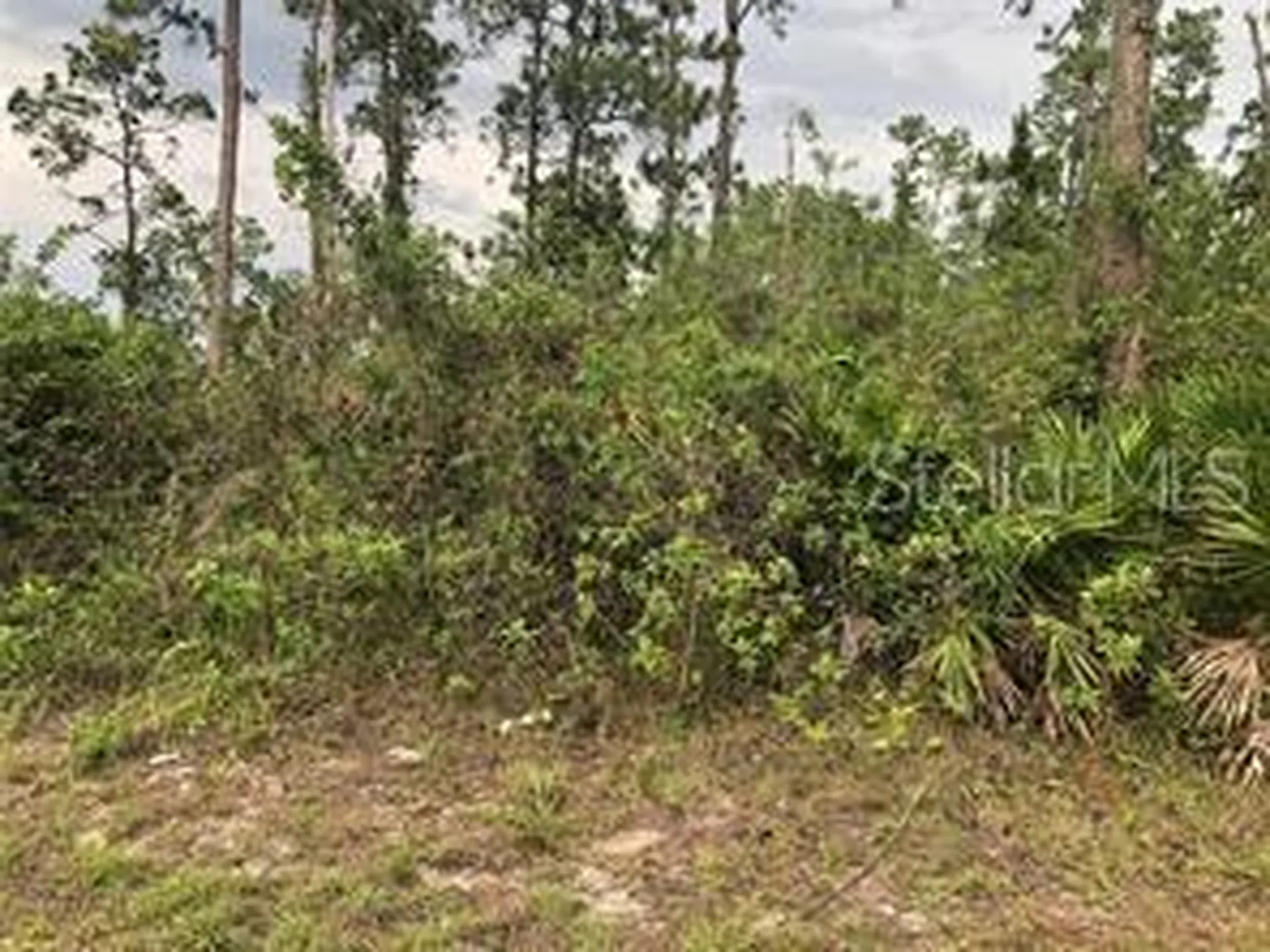 19619 NW 242nd Street Okeechobee FL 34972