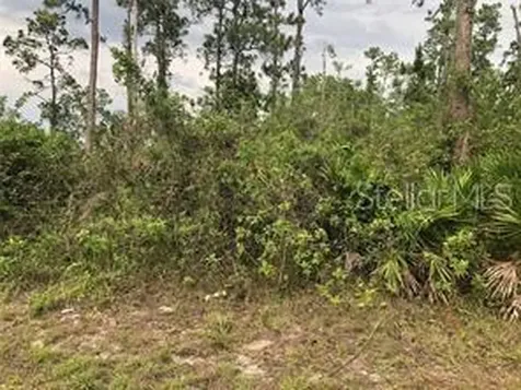 19619 NW 242nd Street Okeechobee FL 34972