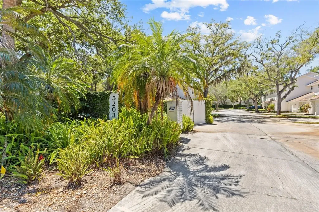 5203 Bayshore Boulevard Tampa FL 33611