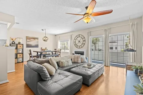 5203 Bayshore Boulevard Tampa FL 33611