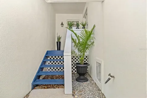 5203 Bayshore Boulevard Tampa FL 33611