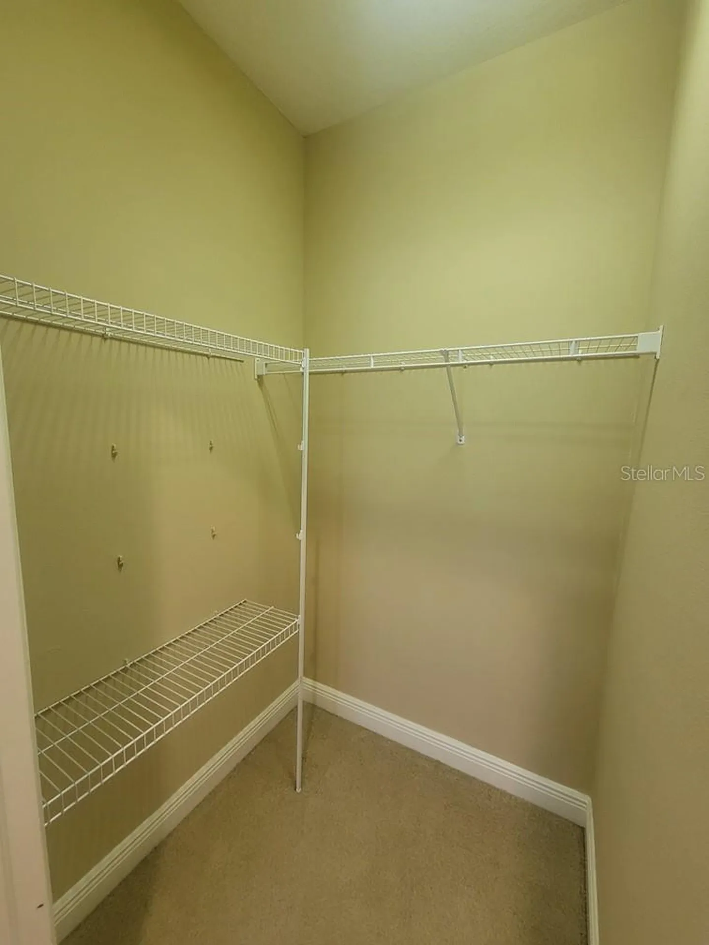 10418 Fenceline Road New Port Richey FL 34655