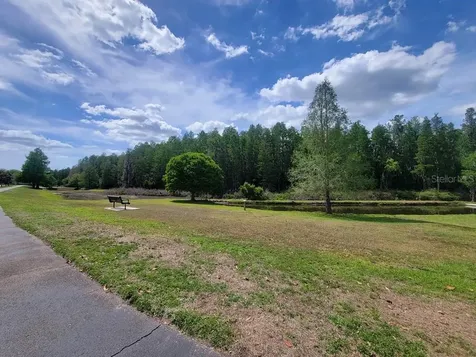 10418 Fenceline Road New Port Richey FL 34655