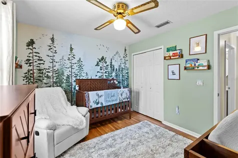 3208 Sarahs Court Green Cove Springs FL 32043