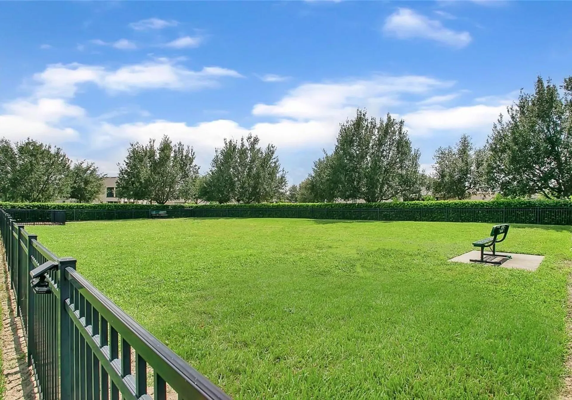 15734 Sweet Lemon Way Winter Garden FL 34787