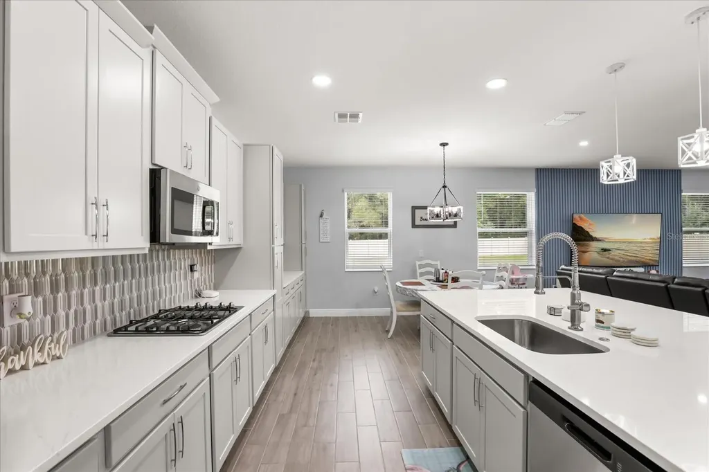 5867 Sierra Crown Street Mount Dora FL 32757