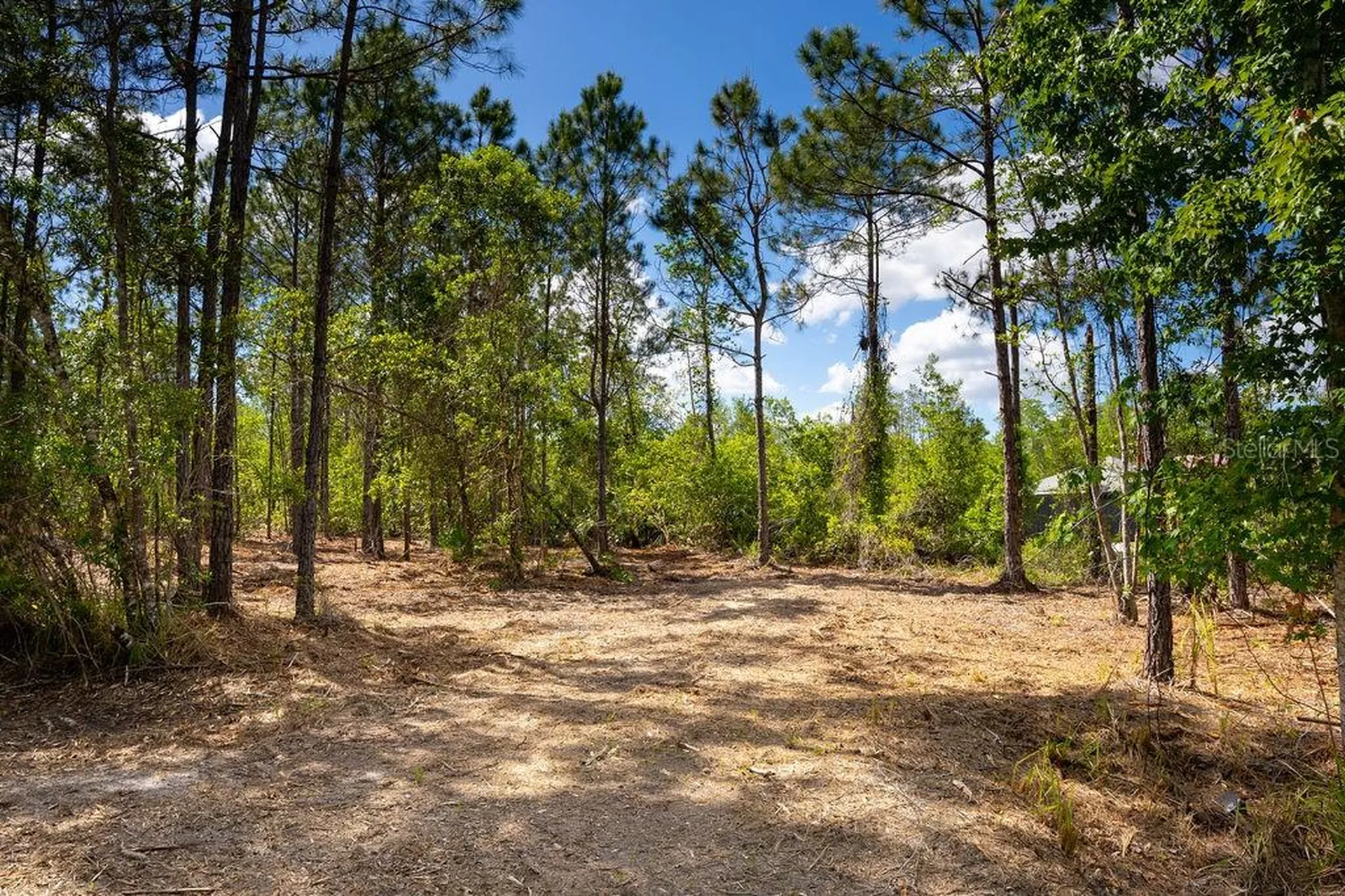 3770 Balsam Court Ormond Beach FL 32174