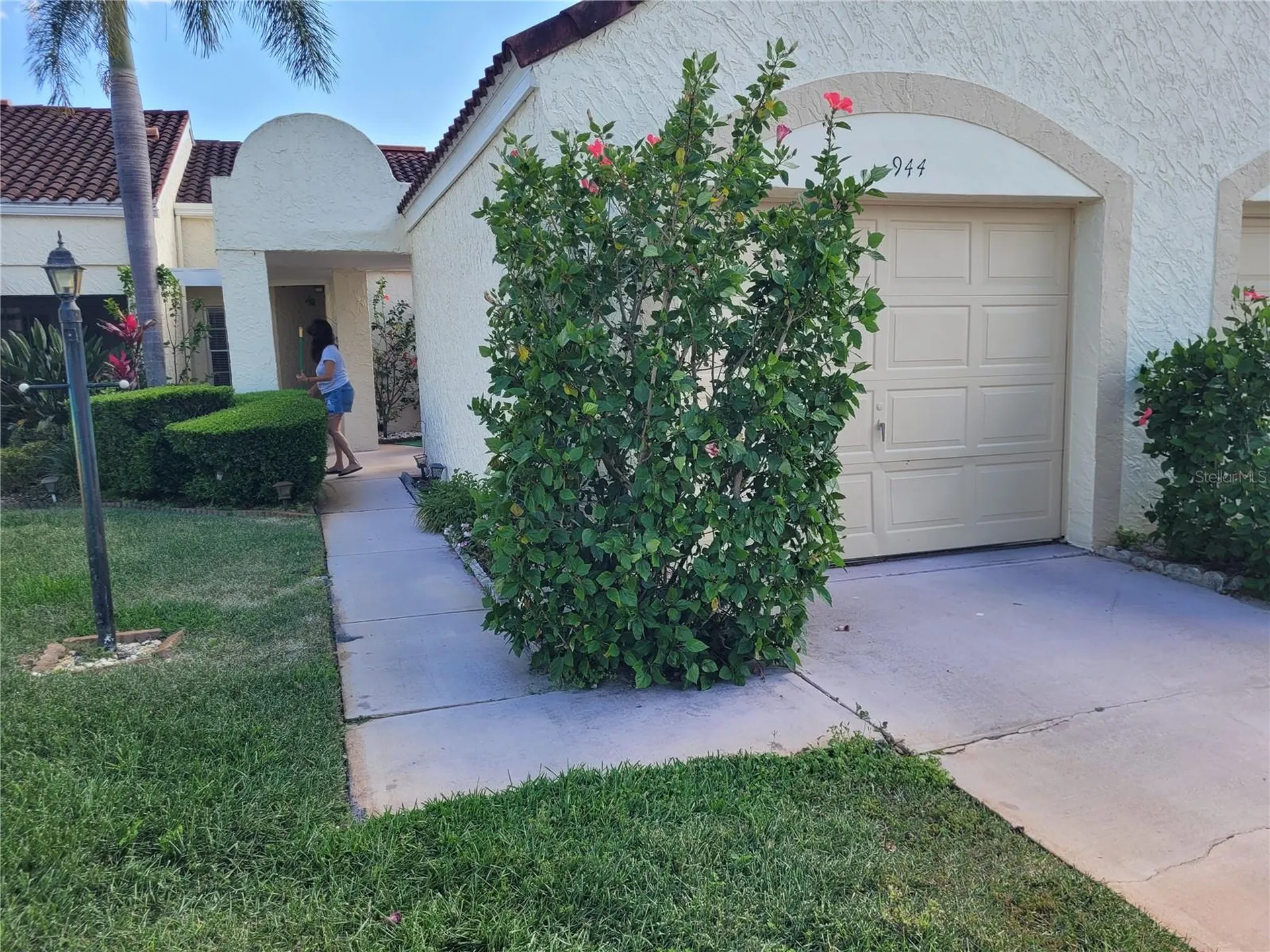 944 Madrid Drive Palm Harbor FL 34684