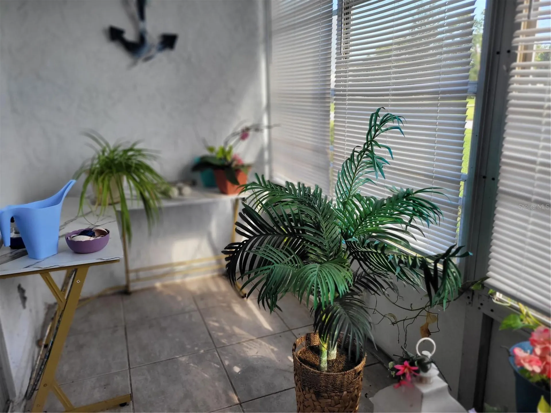 944 Madrid Drive Palm Harbor FL 34684