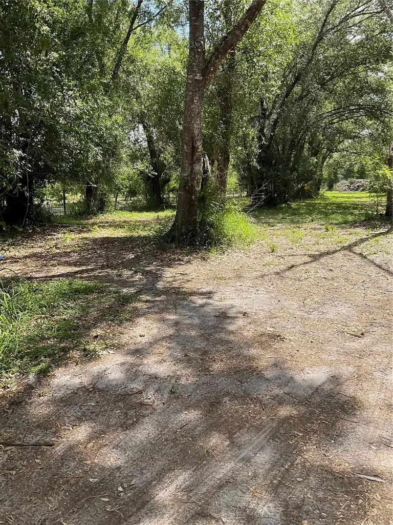 4796 SW Bragdon Avenue Arcadia FL 34266