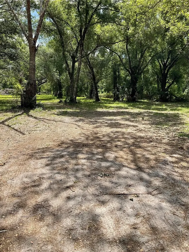 4796 SW Bragdon Avenue Arcadia FL 34266