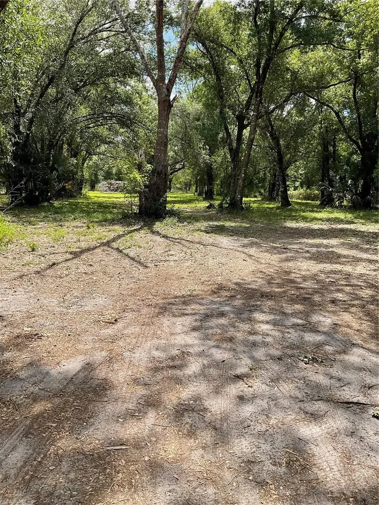 4796 SW Bragdon Avenue Arcadia FL 34266
