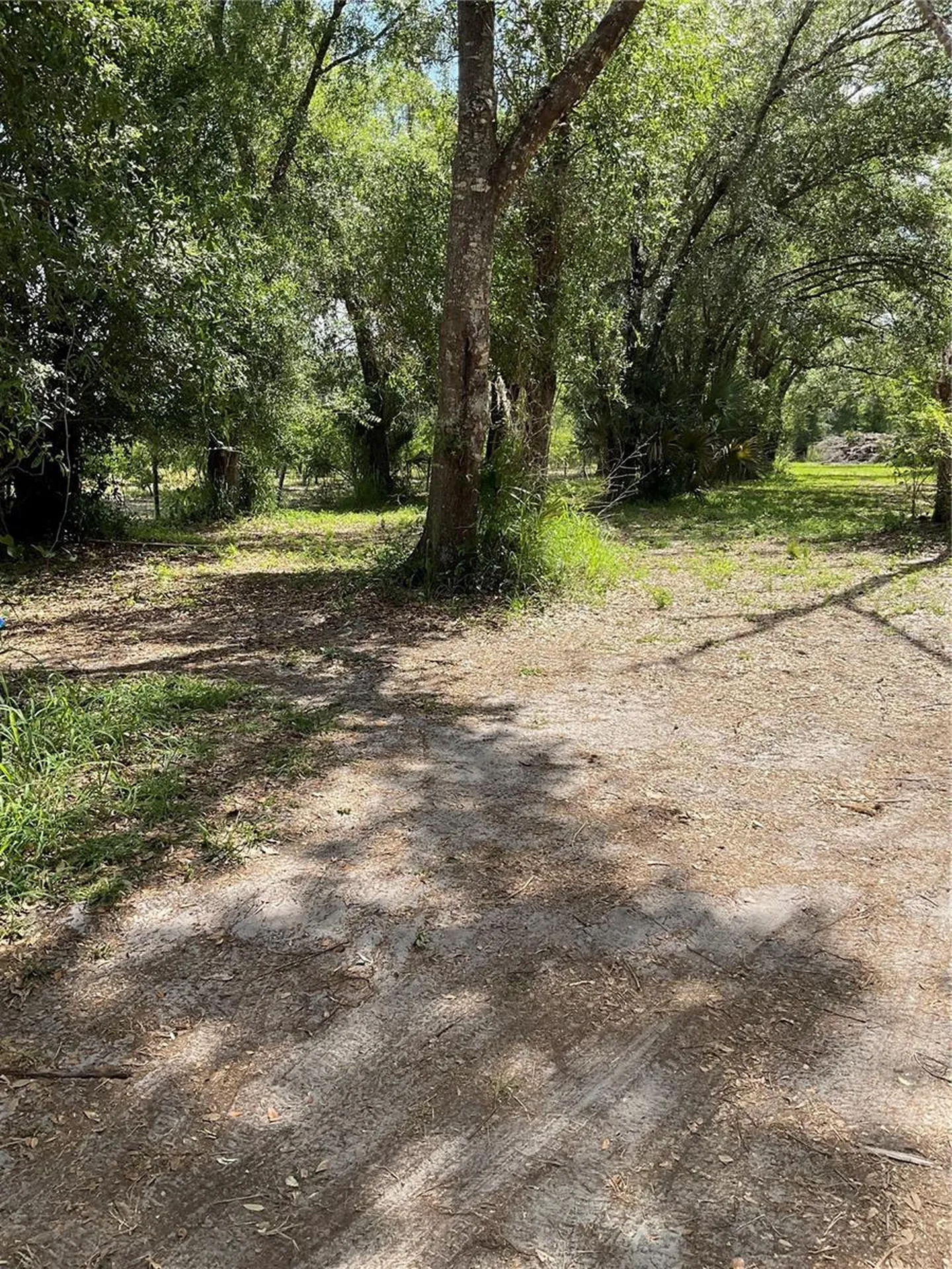 4796 SW Bragdon Avenue Arcadia FL 34266