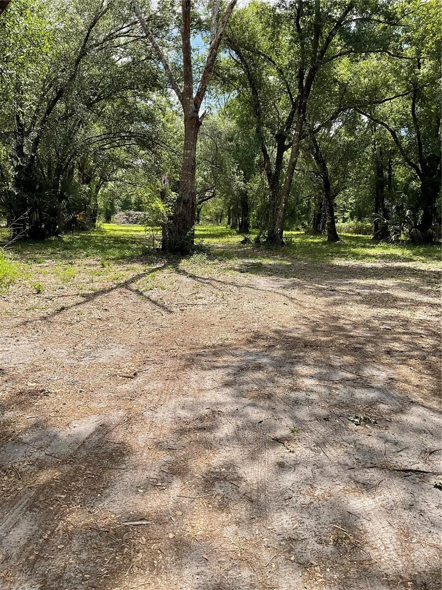 4796 SW Bragdon Avenue Arcadia FL 34266
