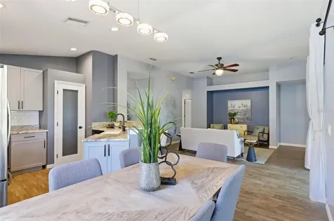 11013 Laurel Brook Court Riverview FL 33569