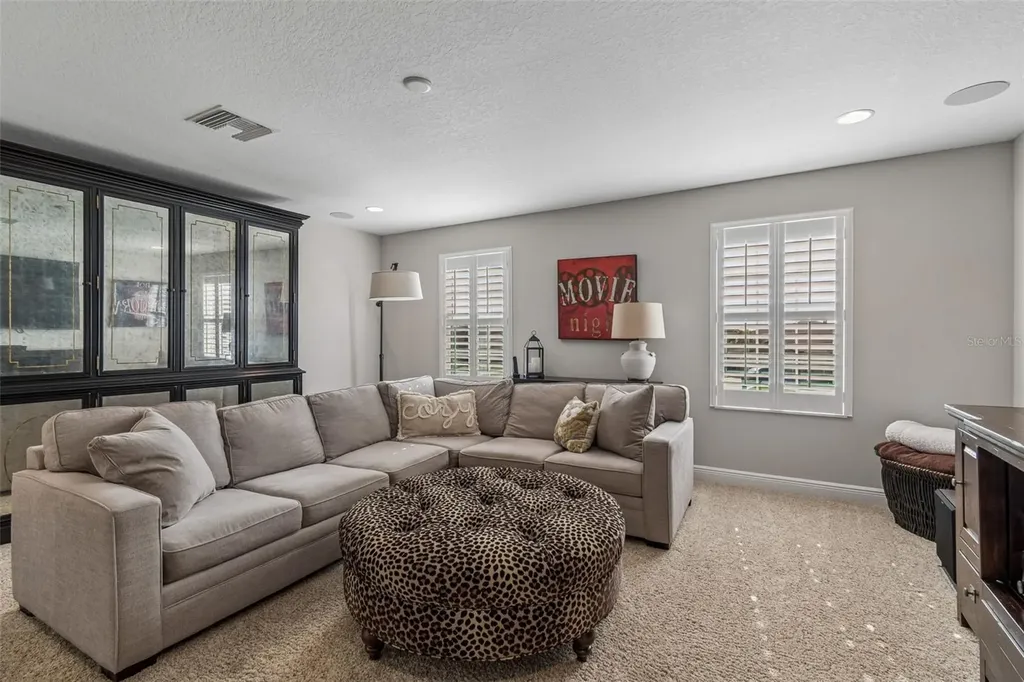 8768 Birchleaf Court Land O Lakes FL 34637