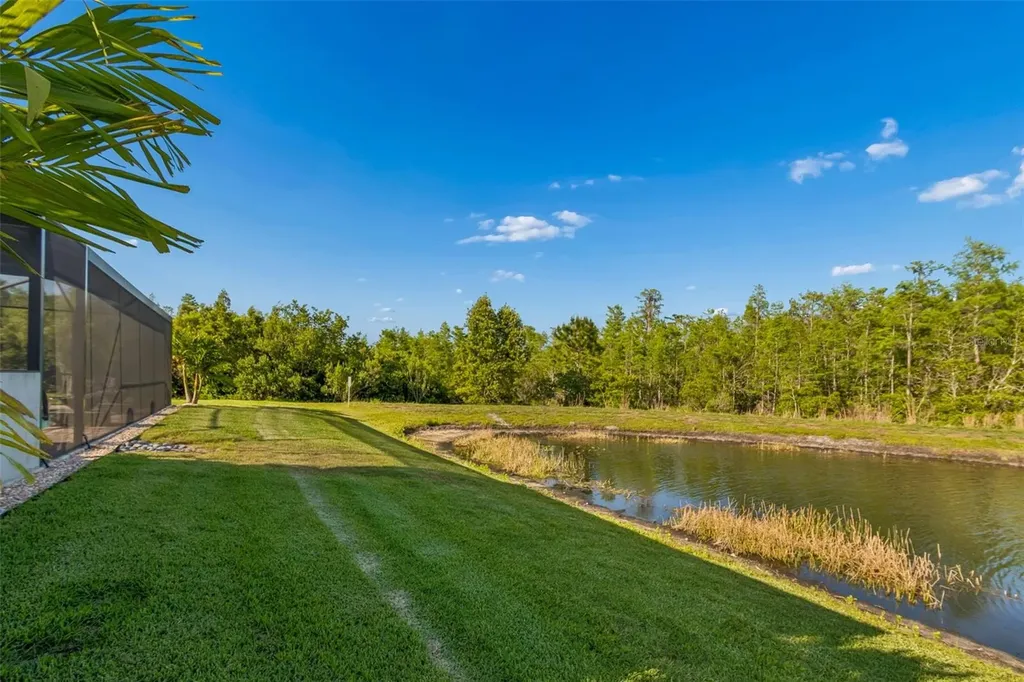 8768 Birchleaf Court Land O Lakes FL 34637