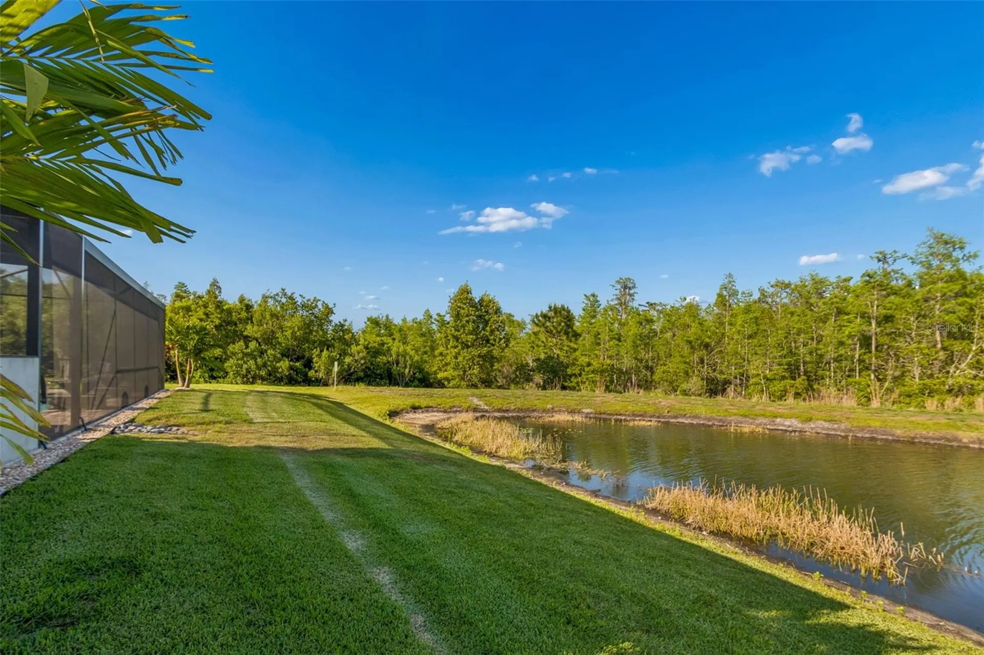 8768 Birchleaf Court Land O Lakes FL 34637