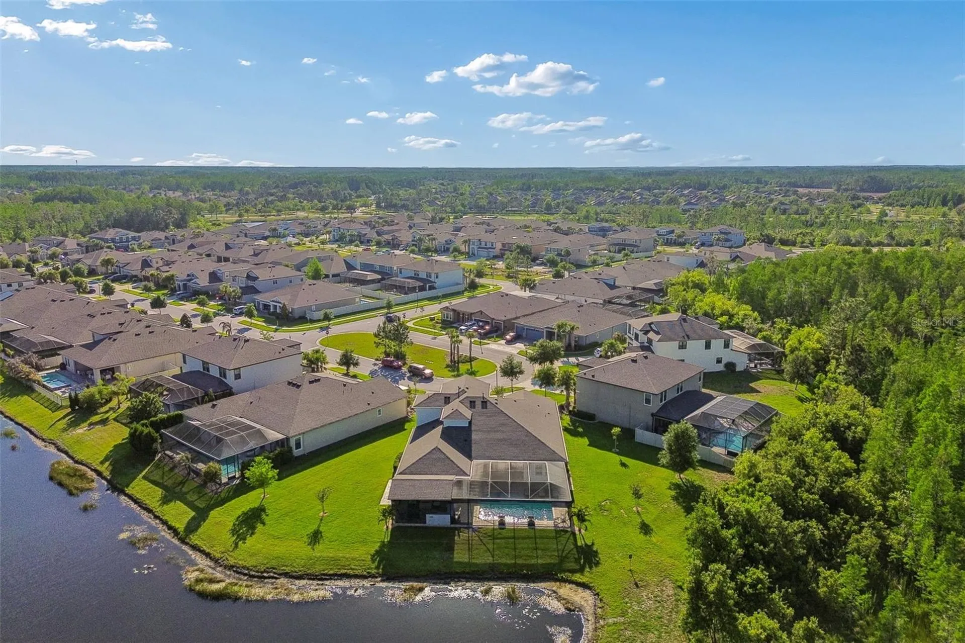 8768 Birchleaf Court Land O Lakes FL 34637