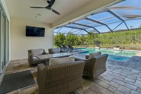8768 Birchleaf Court Land O Lakes FL 34637