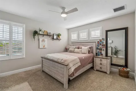 8768 Birchleaf Court Land O Lakes FL 34637
