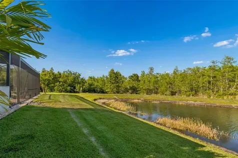 8768 Birchleaf Court Land O Lakes FL 34637