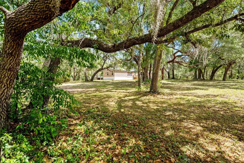 24503 Evaline Street Brooksville FL 34601