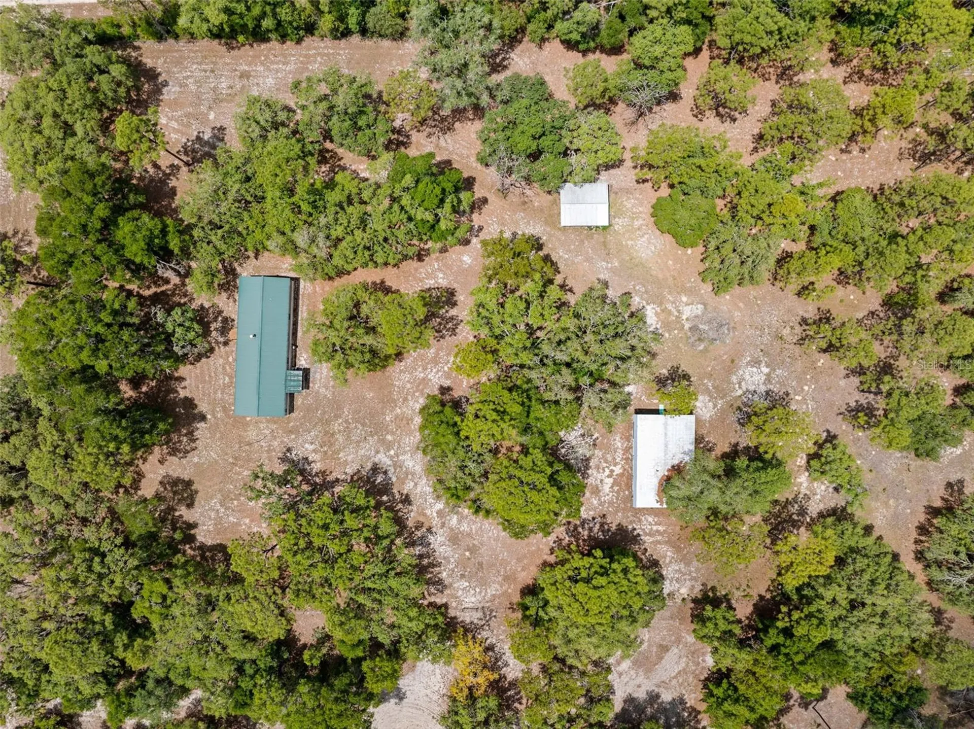 24503 Evaline Street Brooksville FL 34601