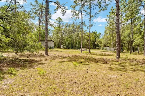 24503 Evaline Street Brooksville FL 34601