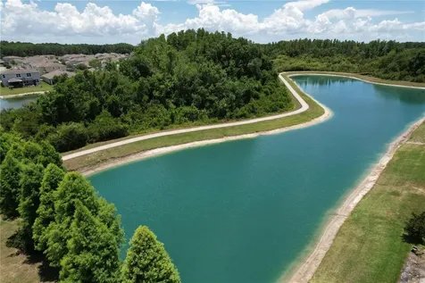 32628 Abby Lax Lane Wesley Chapel FL 33543