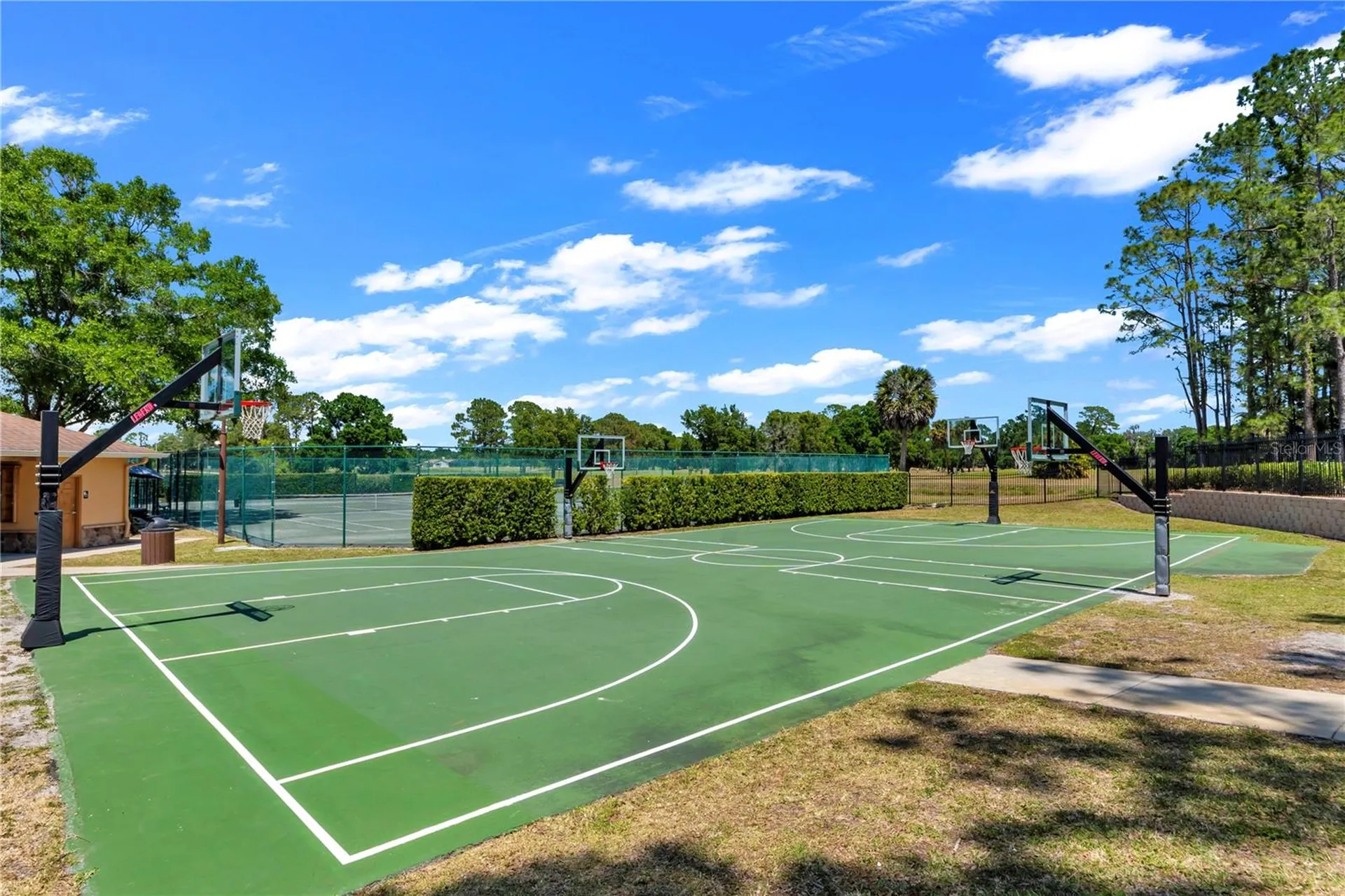 16118 Muirfield Drive Odessa FL 33556