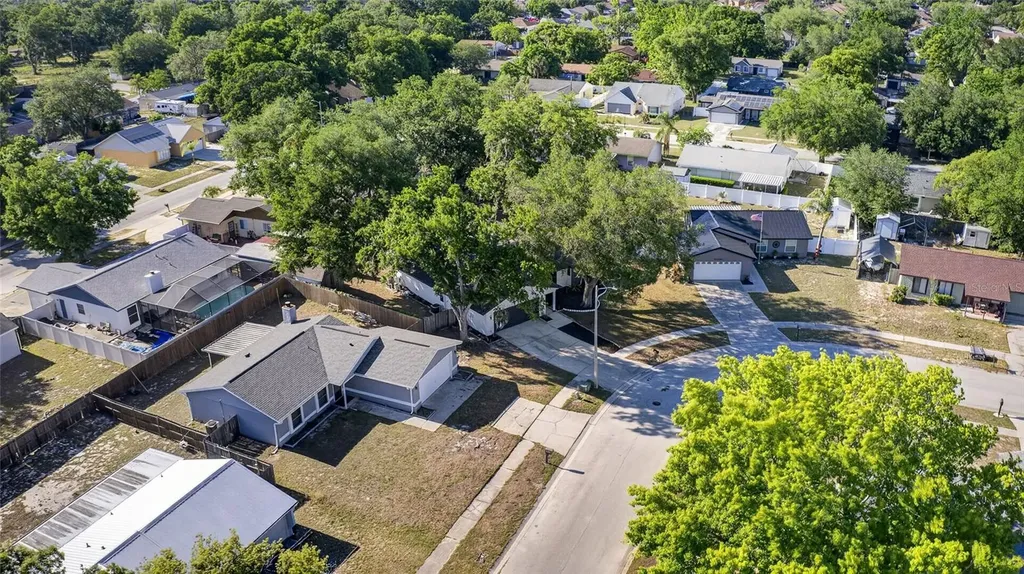 1513 Piney Branch Circle Valrico FL 33594