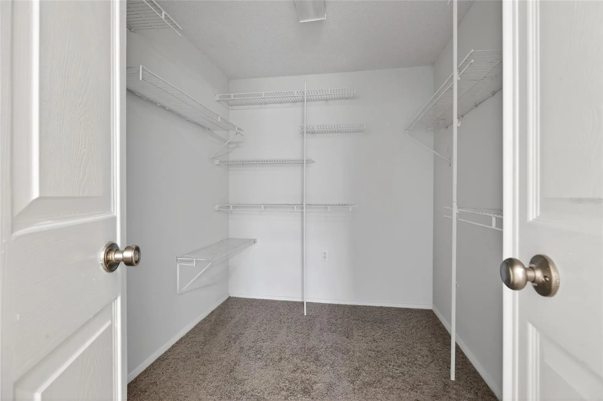 1513 Piney Branch Circle Valrico FL 33594