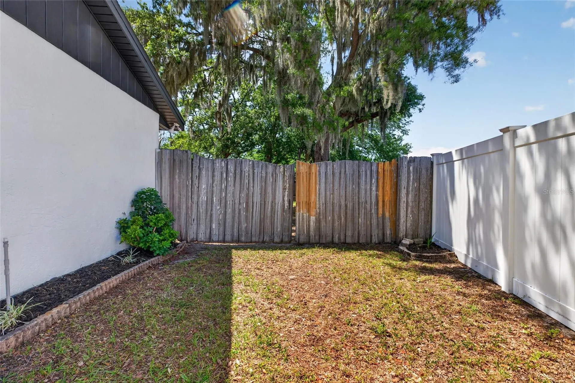 1513 Piney Branch Circle Valrico FL 33594
