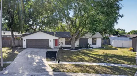 1513 Piney Branch Circle Valrico FL 33594
