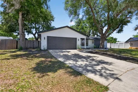 1513 Piney Branch Circle Valrico FL 33594