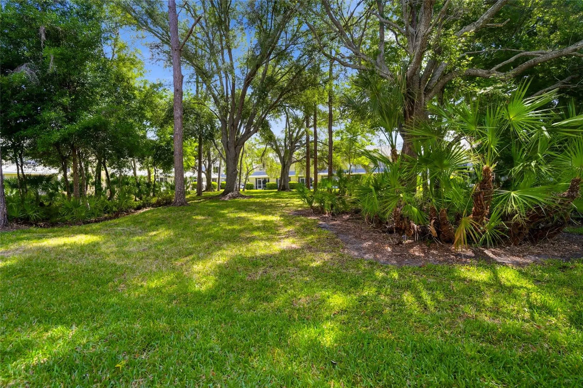 12367 Berkeley Square Drive Tampa FL 33626