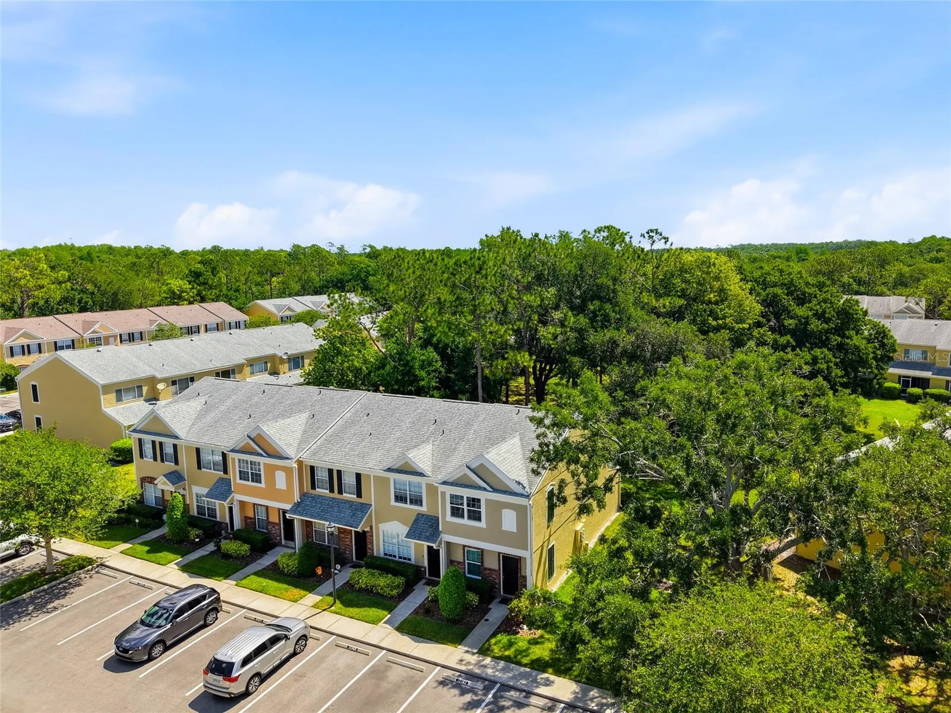 12367 Berkeley Square Drive Tampa FL 33626