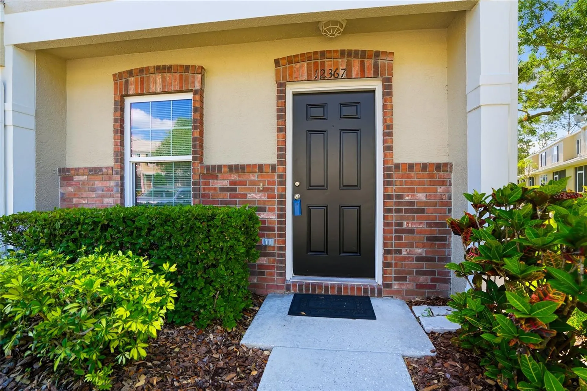 12367 Berkeley Square Drive Tampa FL 33626