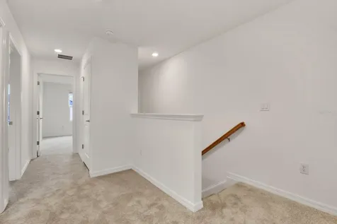 2191 Hallier Cove Wesley Chapel FL 33543