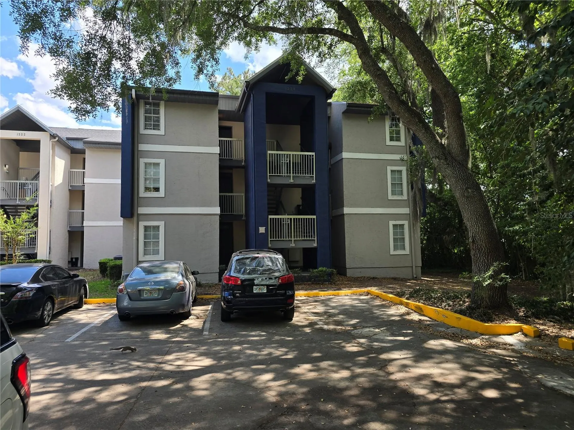 1224 SW 16 Avenue Gainesville FL 32601